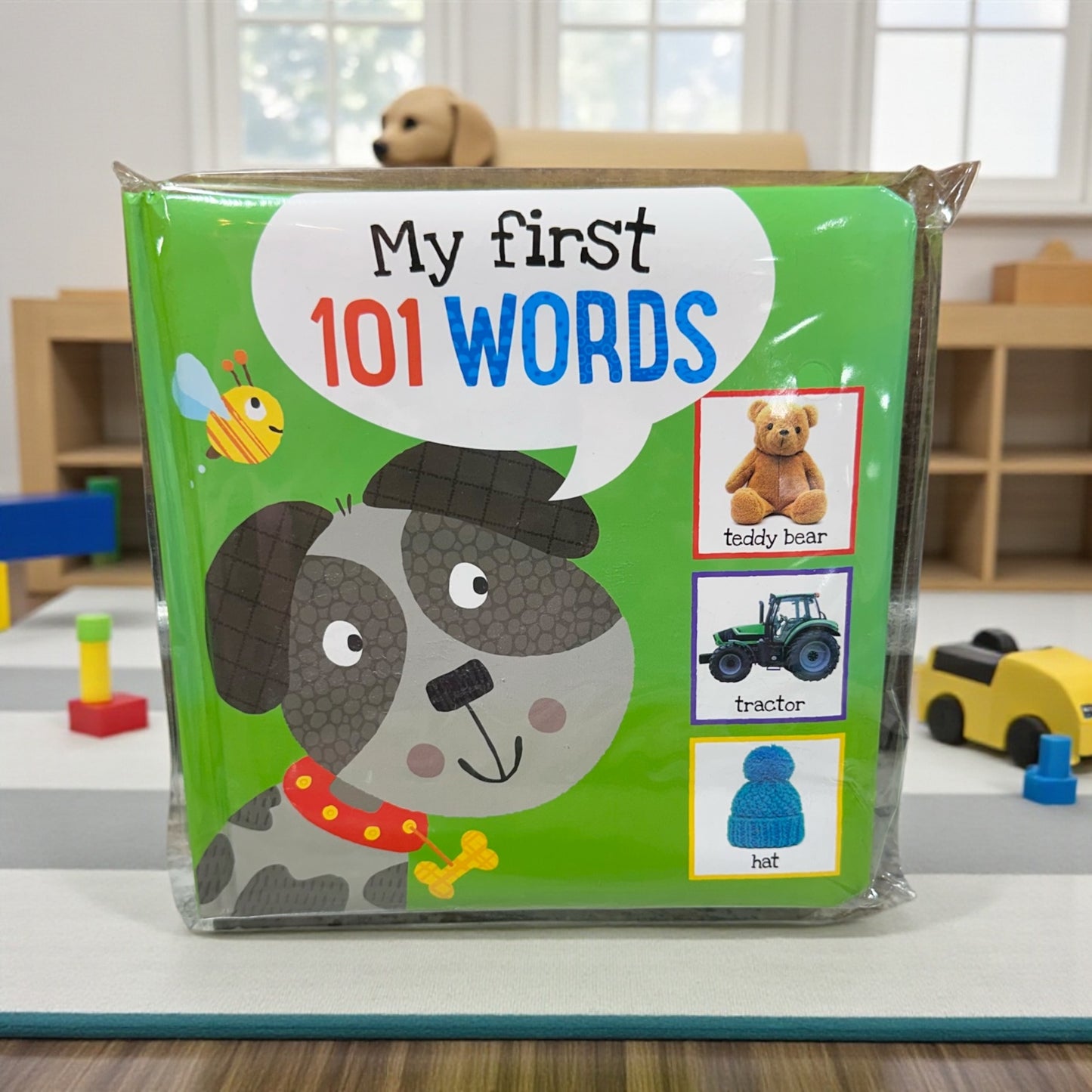My First Words Book