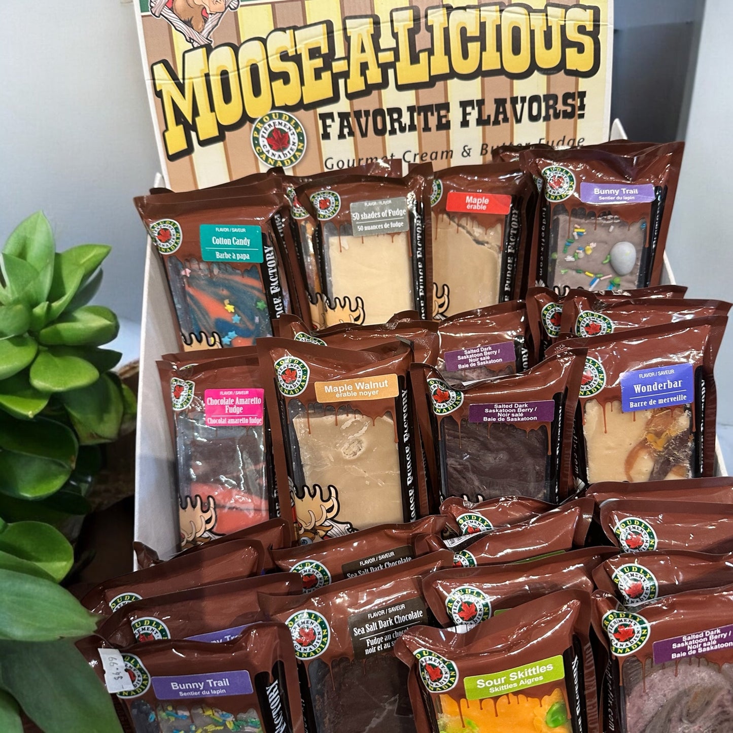 Fresh Fudge Snickerdoodle