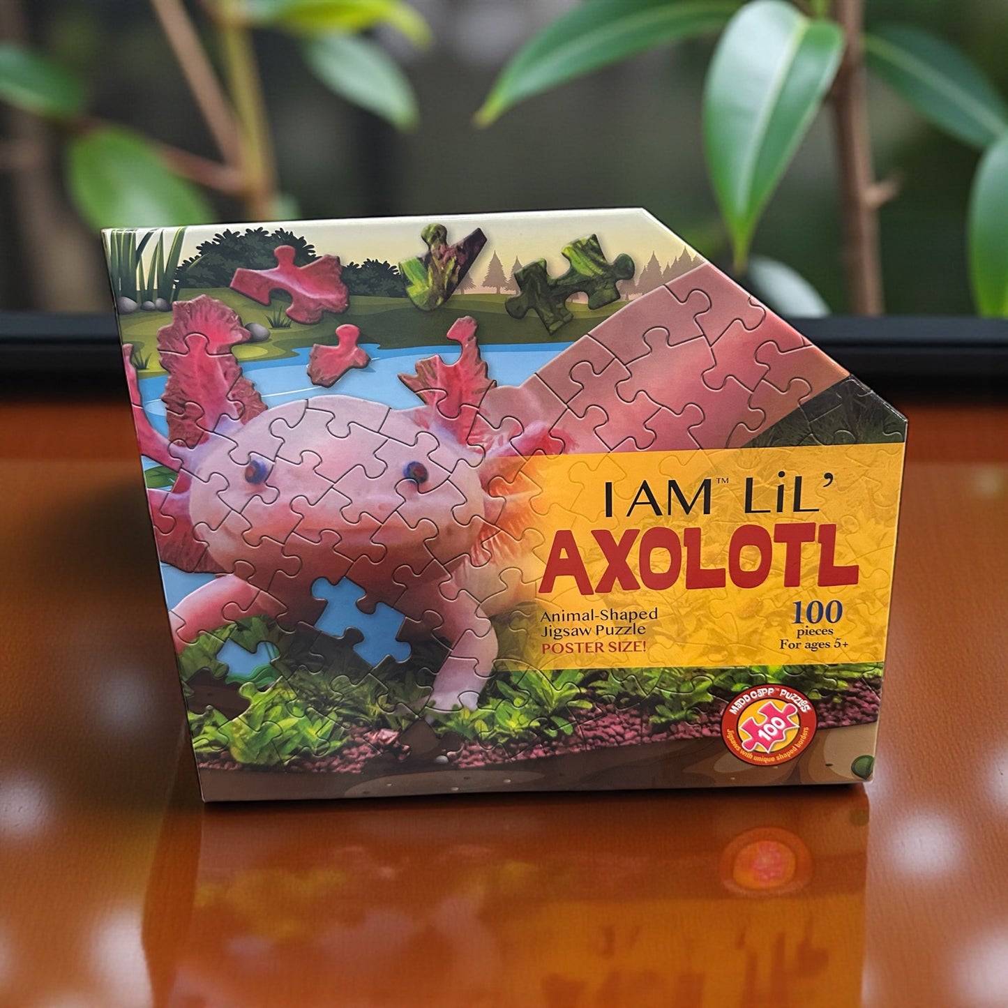 Axolotl Puzzle 100 pc