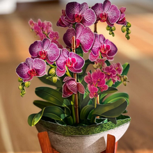 Load image into Gallery viewer, Freshcut Paper Pop Up Cards | Orchid Oasis
