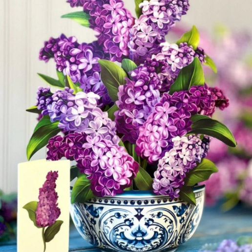 Freshcut Paper Pop Up Cards Garden Lilacs