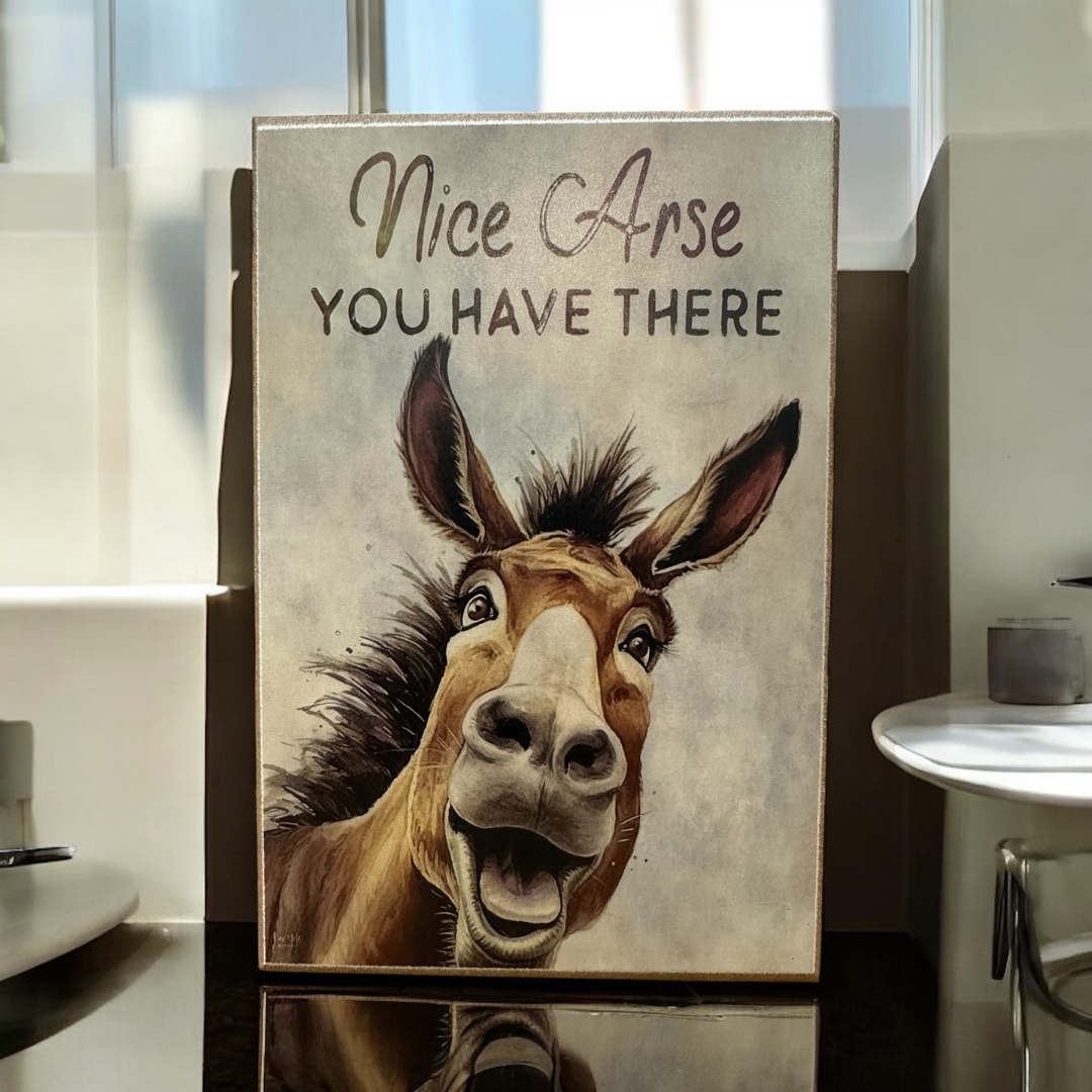 Shelf Sitter Bathroom Sign Nice Arse You Have There