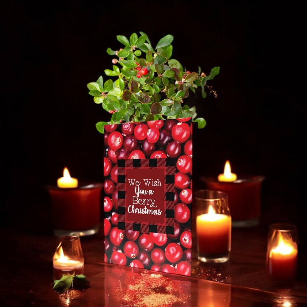 Greeting Card We Wish You a Merry Christmas