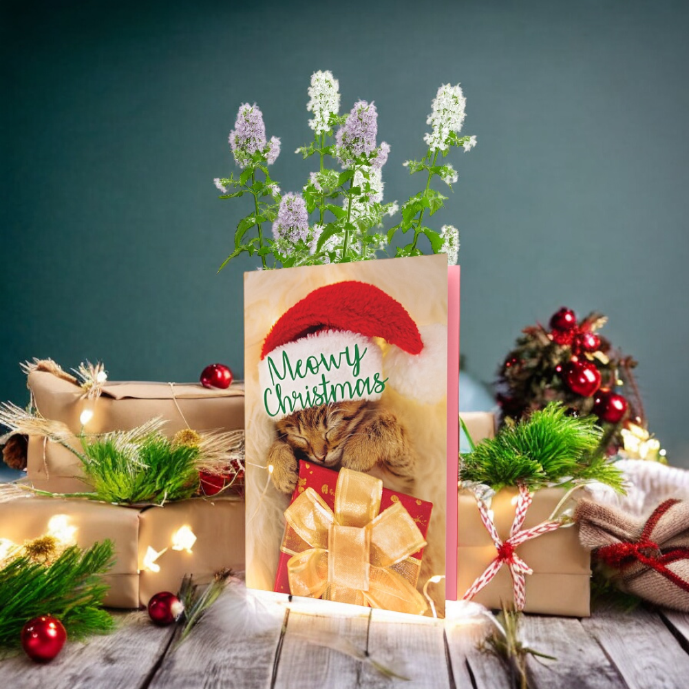 Greeting Card Meowy Christmas
