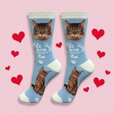 Pet Lovers Socks Better with a Cat