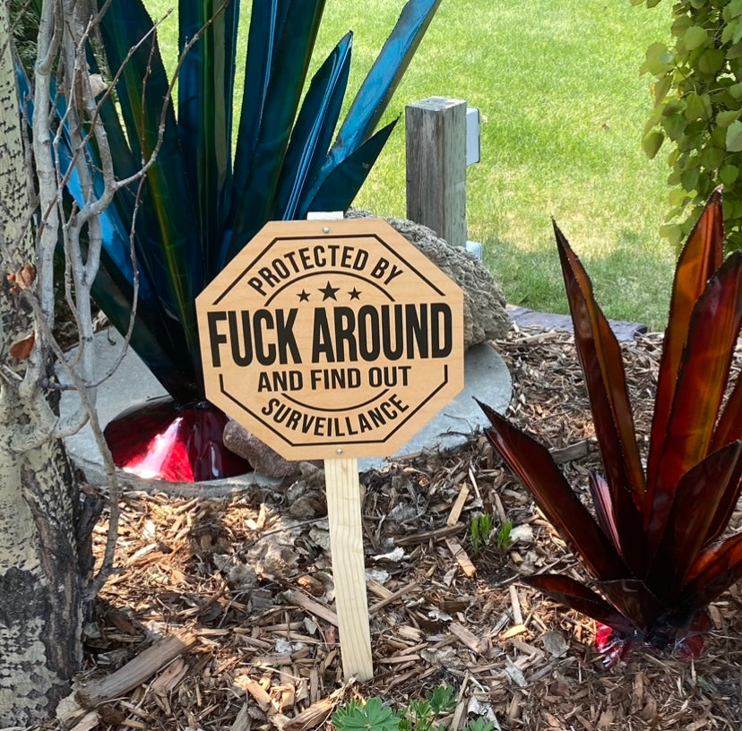Cheeky Surveillance Sign