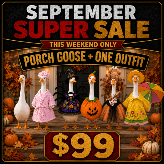 SUPERSALE! PORCH GOOSE and ONE OUTFIT