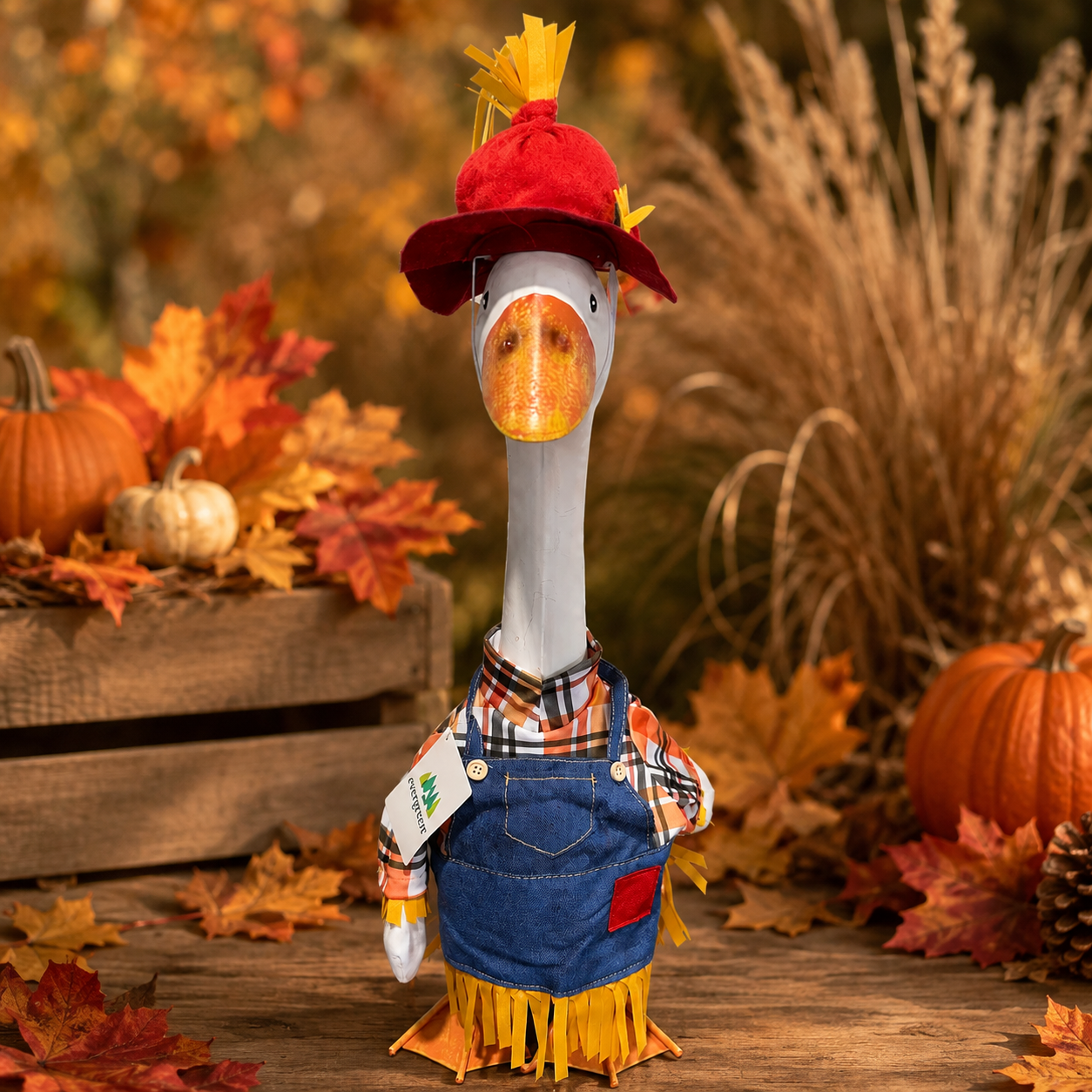 Porch Goose Outfit Fall Fella