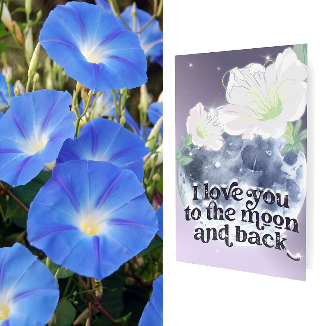 Growable Greeting Cards (SEED PACKED INCLUDED) Love You to the Moon & Back