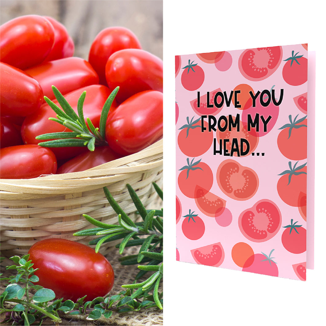 Growable Greeting Cards (SEED PACKED INCLUDED) I Love You from Head TO-MA-TOES